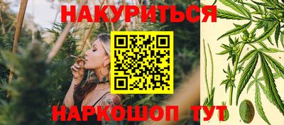 apvp Ачхой-Мартан