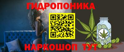 apvp Ачхой-Мартан
