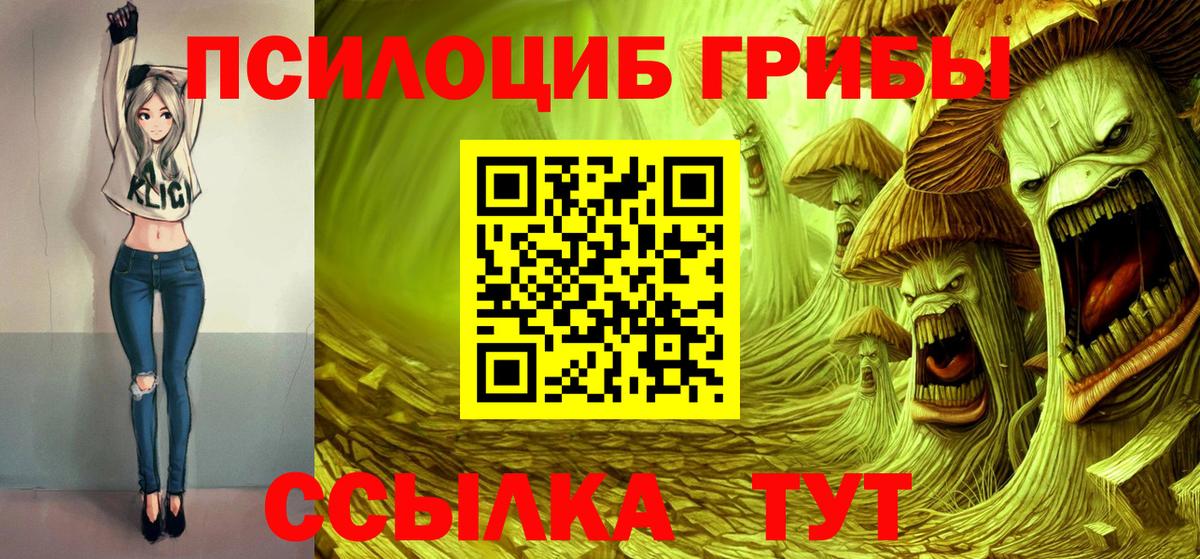 Псилоцибиновые грибы прущие грибы Кольчугино